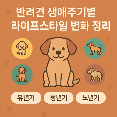 반려견 생애주기별 특징과 생활관리 총정리 : 유년기부터 노년기까지