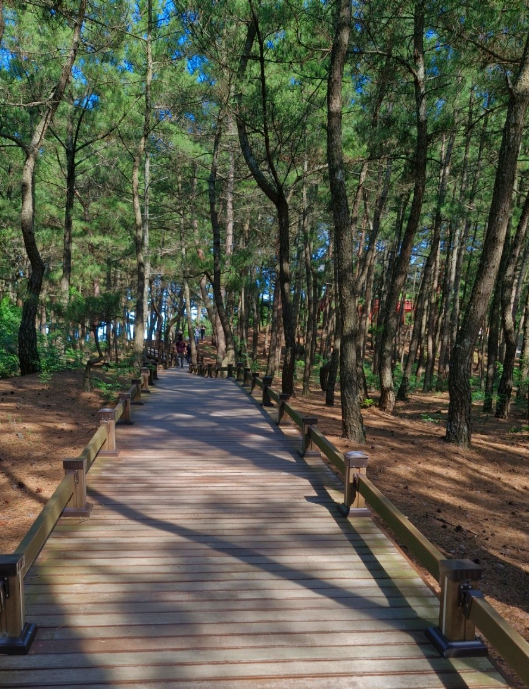 울진 가볼만한곳 베스트10