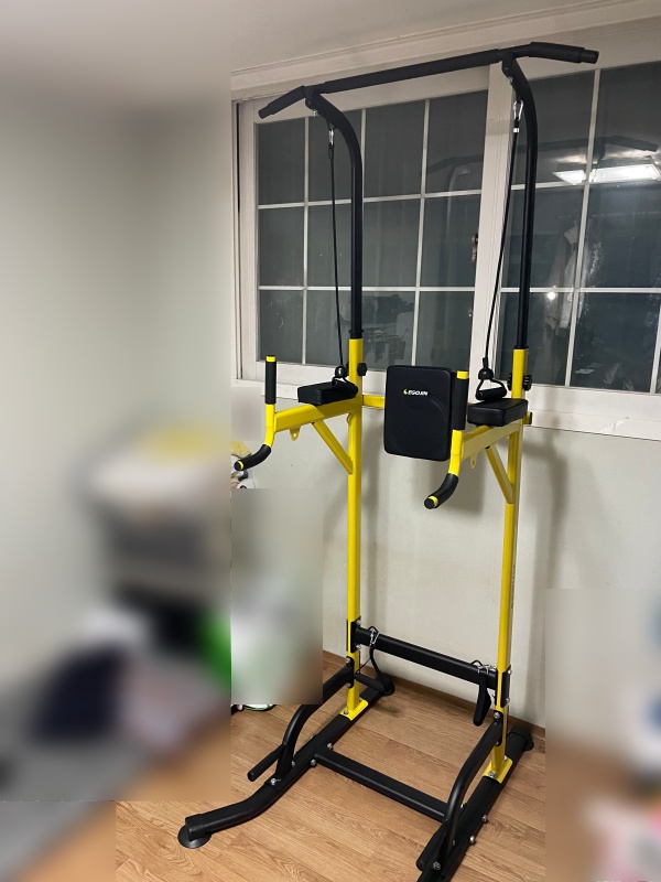 이고진 치닝디핑 EX30