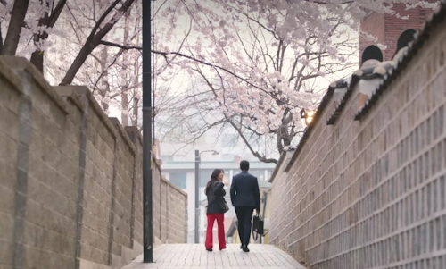 승효 석류 벚꽃길