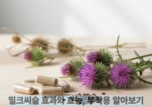 밀크씨슬 효과와 효능, 부작용 알아보기