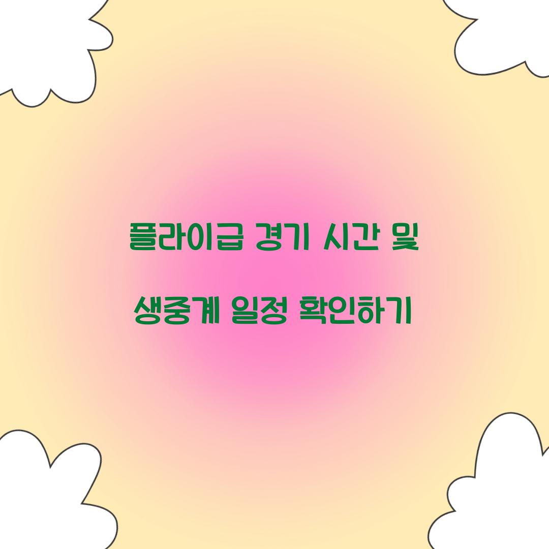 플라이급 경기 시간