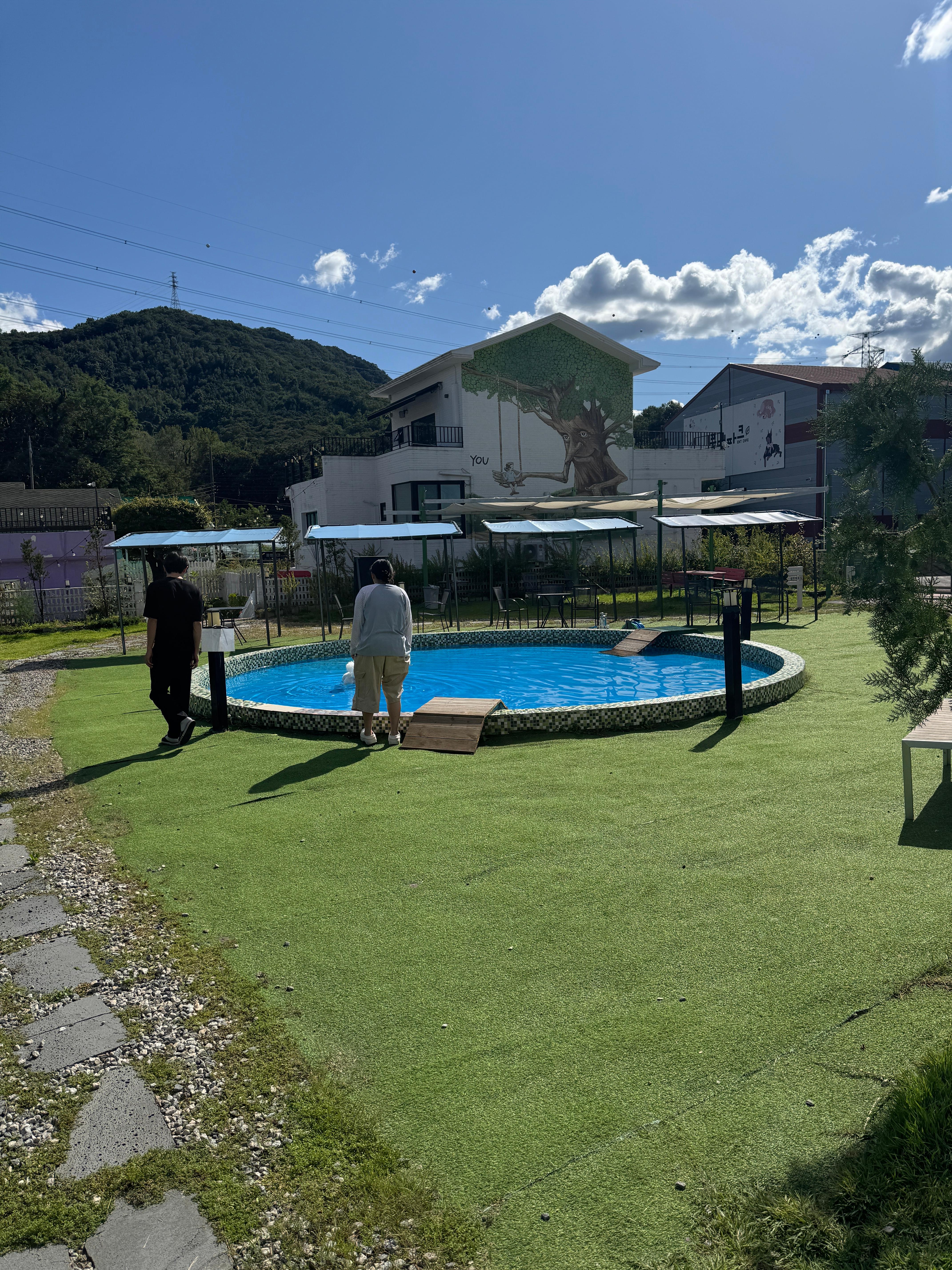 풀멍파크 내부 반려견 수영장 사진