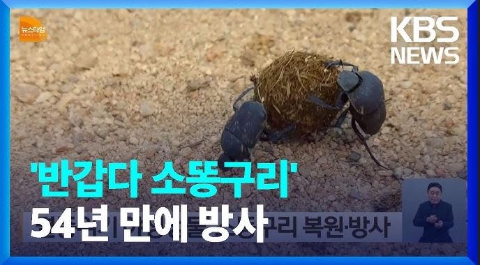 소똥구리 우리나라 보호현황