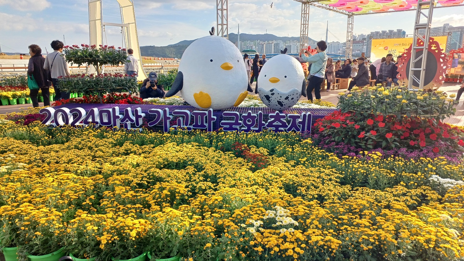 마산국화축제