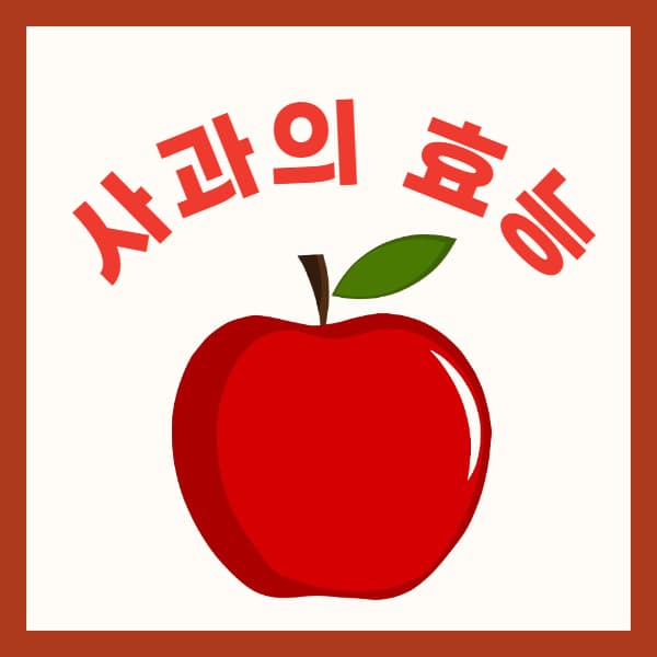 사과-효능
