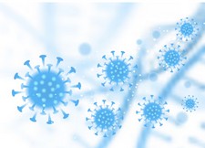 엠폭스 감염경로