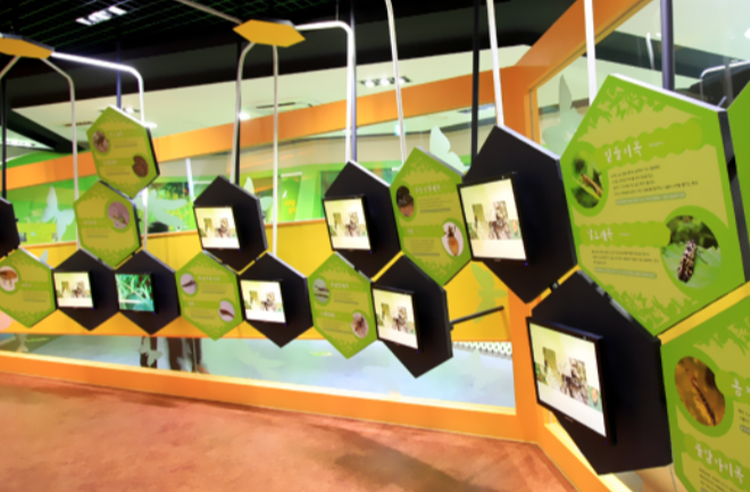 양평 곤충박물관