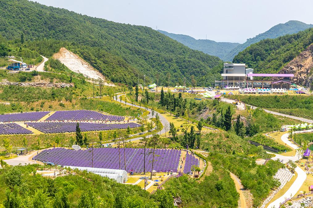 동해 가볼만한곳 베스트10 무릉별유천지