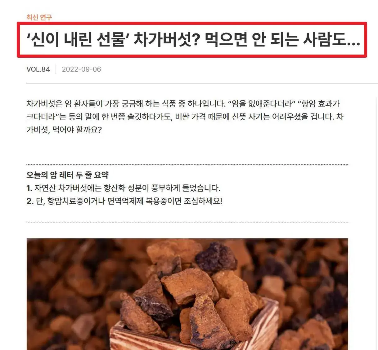 차가버섯 관련 뉴스 내용