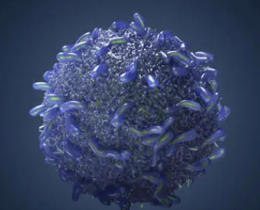 NK Cell Metabolomics – 암세포 인식과 살상 능력 강화 방안