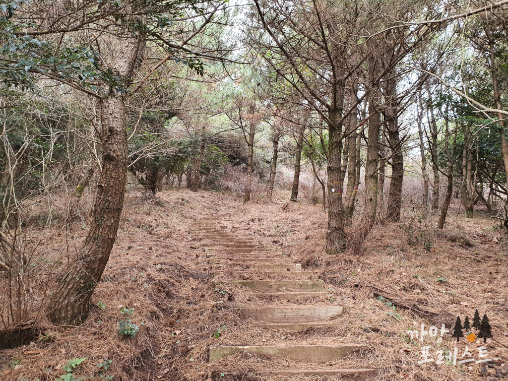 높은 오름 계단