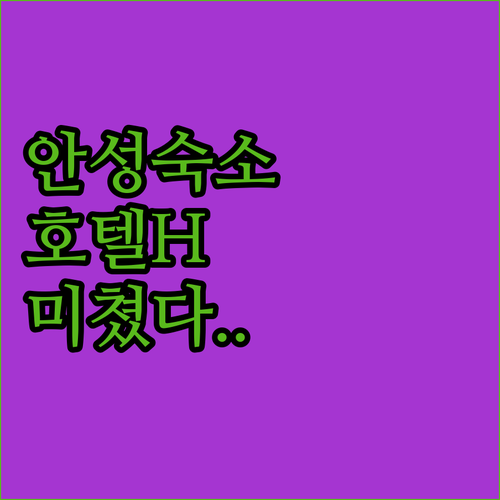 안성 숙소 추천 호텔H 노마드 포함 ..