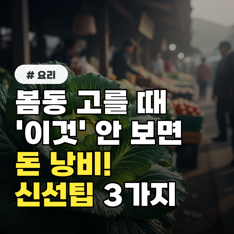 봄동 고를 때 '이것' 안 보면 돈 낭비! 신선한 봄동 고르는 팁 3가지