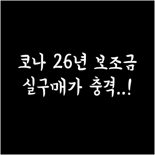 코나 일렉트릭 2026년 보조금 산정..