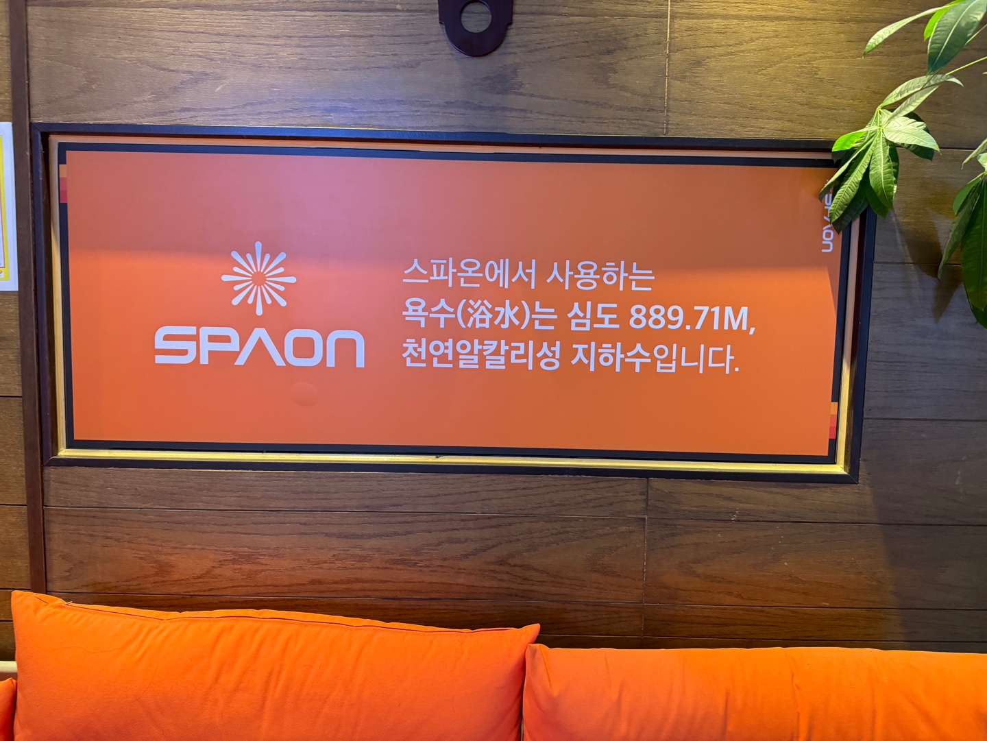 스파온