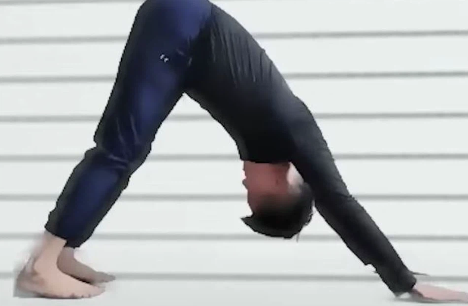 다운독자세