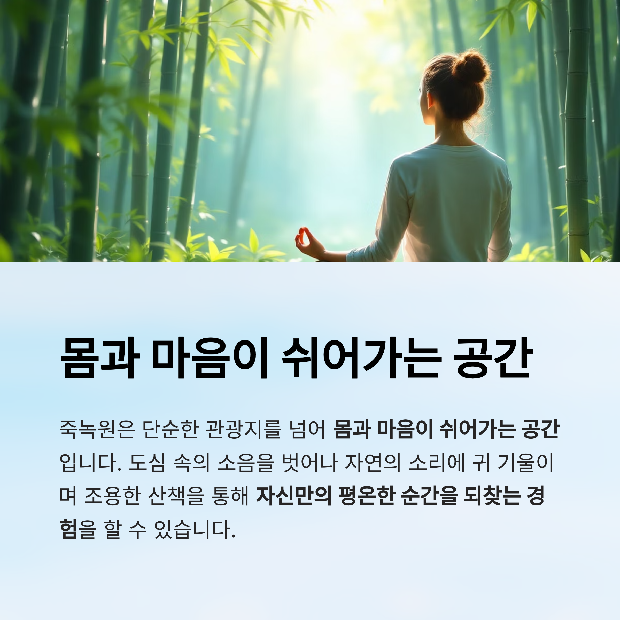 담양 죽녹원에서 만나는 대나무숲의 고요한 힐링 여행