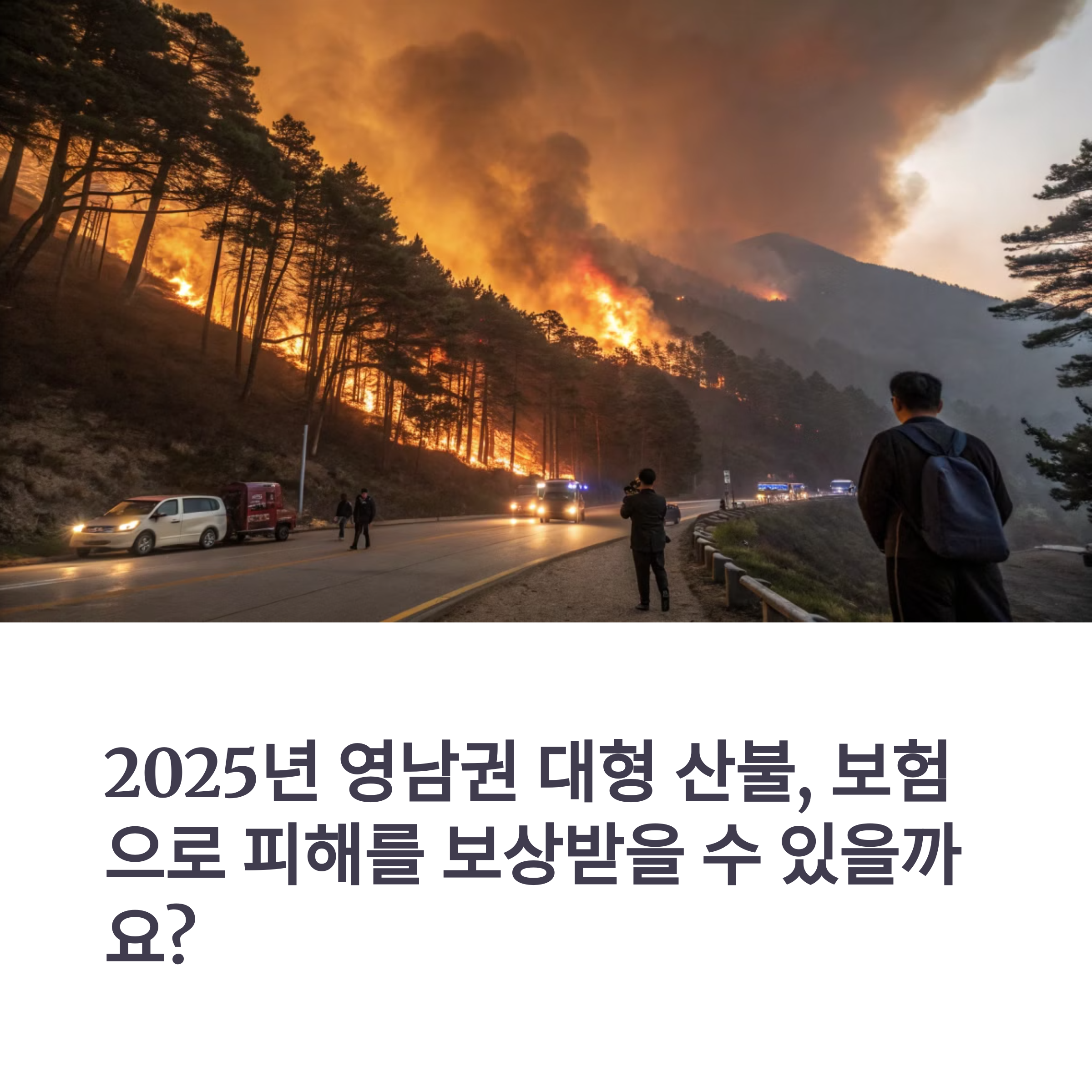 산불 보험 가입, 실제 보장 범위는 어디까지일까?