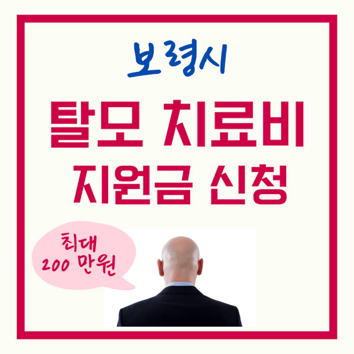 보령시-탈모- 치료비-지원금-신청서-이미지