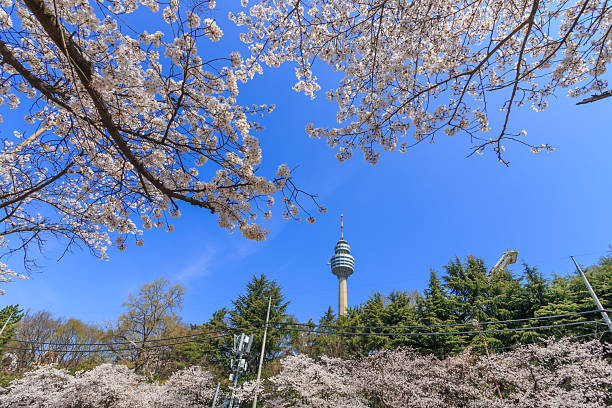 다자녀 가구 민생지원금