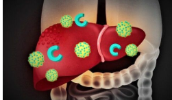 감마지티피-사진1