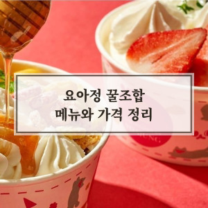 요아정 꿀조합