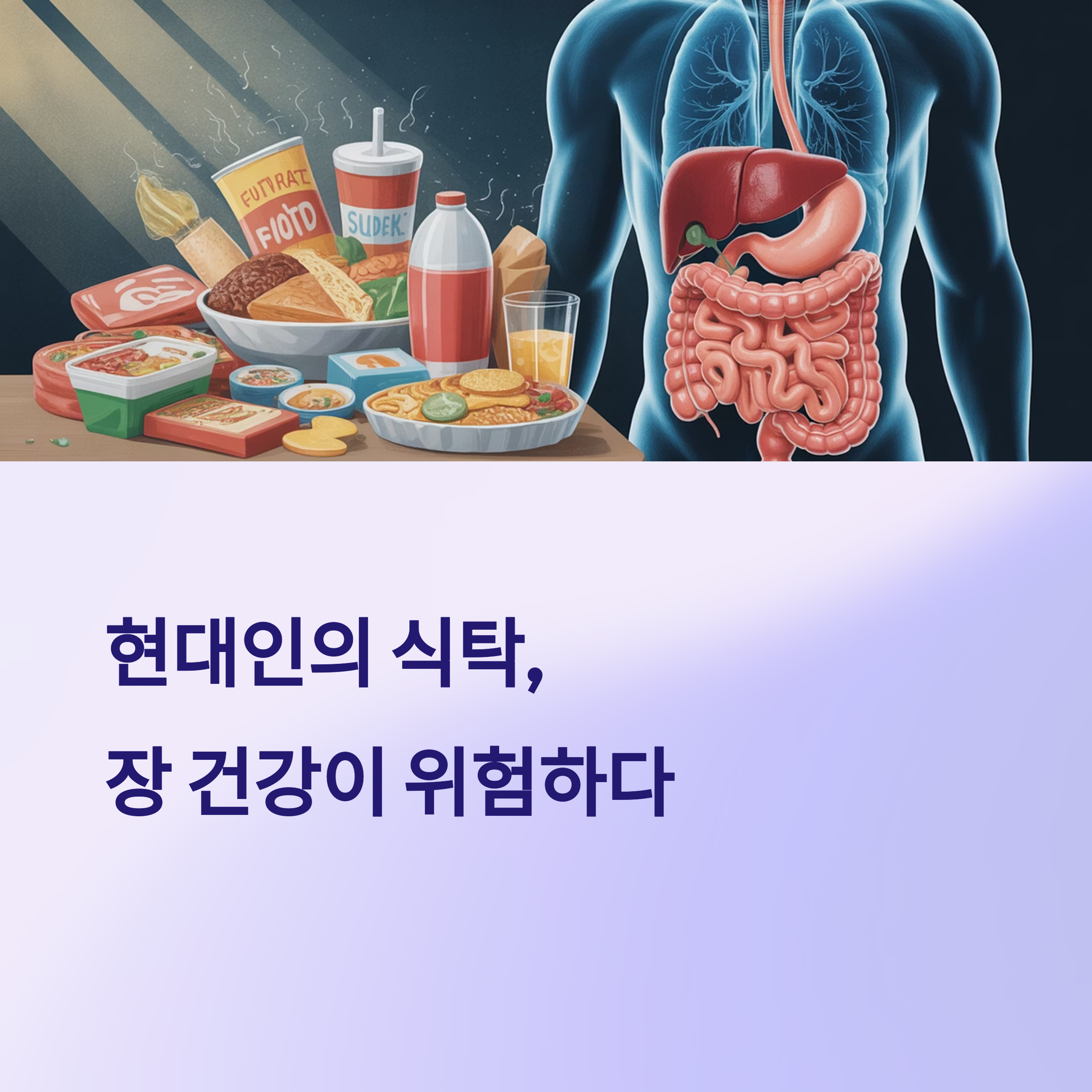 현대인의 식습관이 장 건강에 미치는 영향