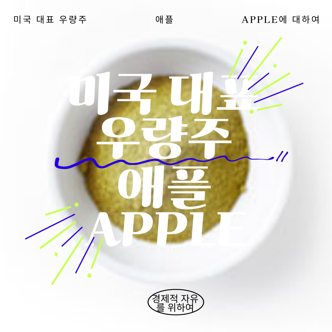 미국 대표 우량주 애플에 대하여