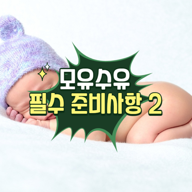 모유수유 필수 준비사항 2