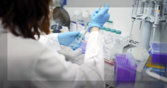 오가노이드사이언스 기업 이미지