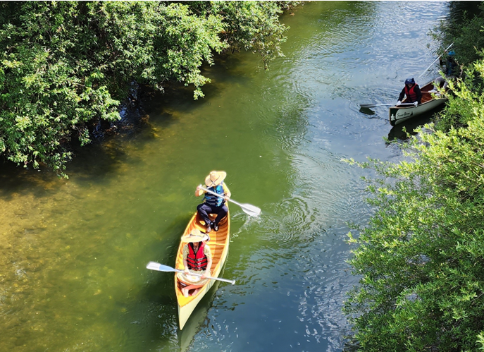 장자늪 카누체험장