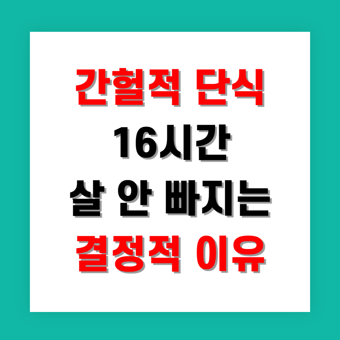 간헐적 단식 16시간 해도 살 안 빠지는 결정적 이유