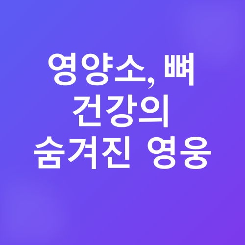 골다공증 예방_4