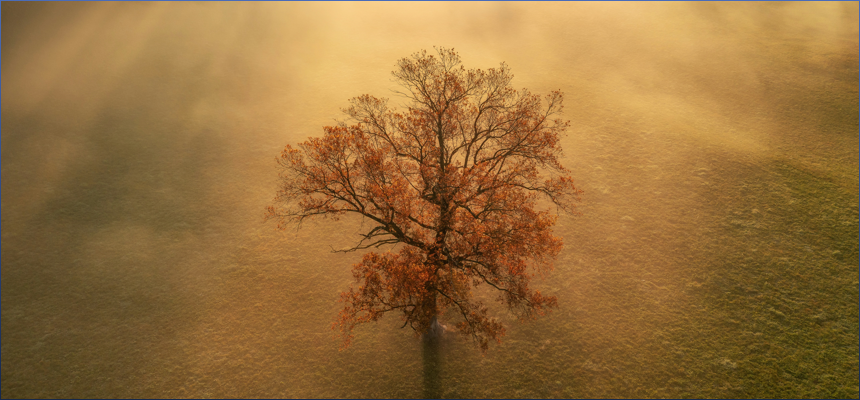 갑자일주 X 병인일주 궁합 완벽 정리