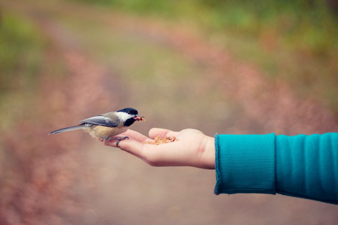 care