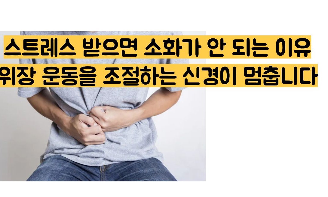 소화불량 원인