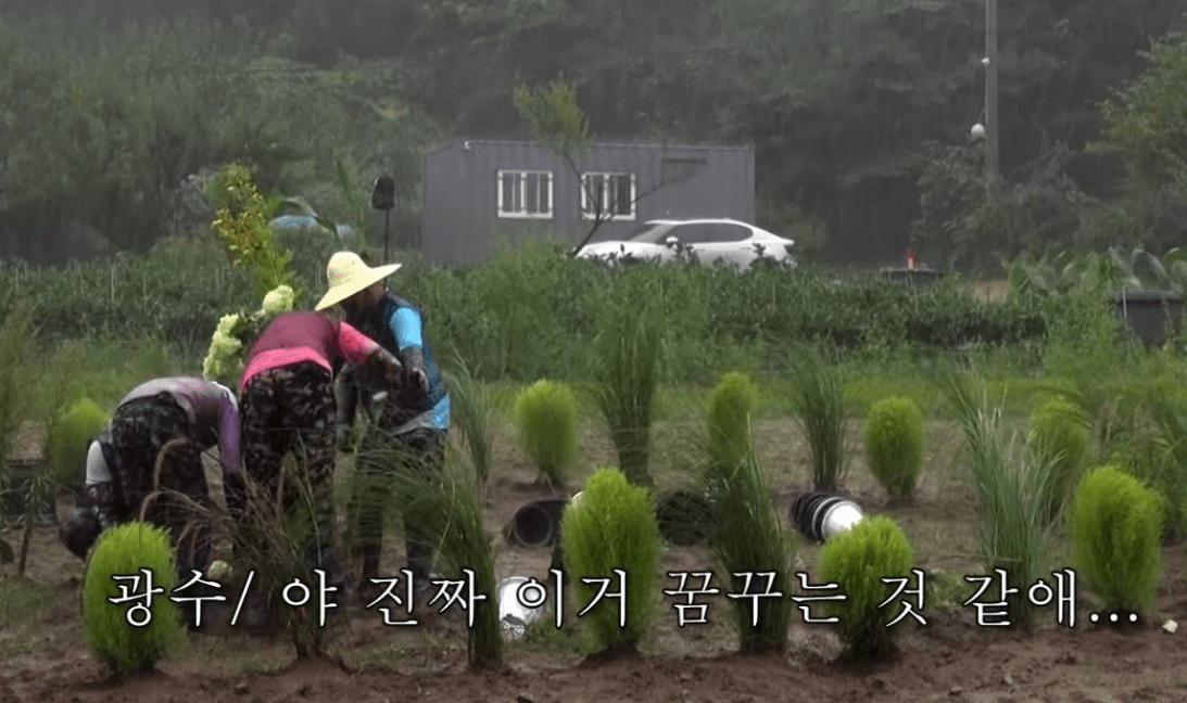 콩콩팥팥 4인방