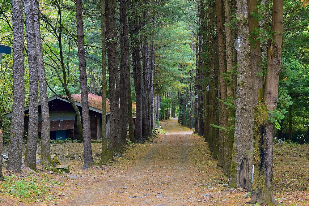 포천 아버지의숲 산정캠프 소개