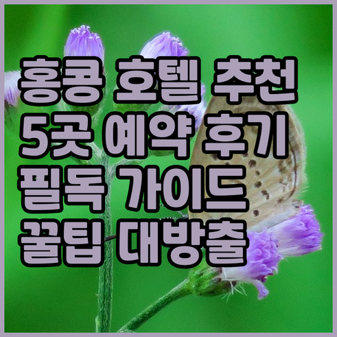 홍콩 호텔 예약 전 필독 5곳 추천