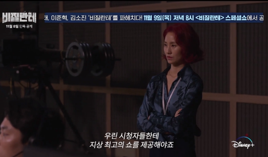 비질란테 등장인물 뜻