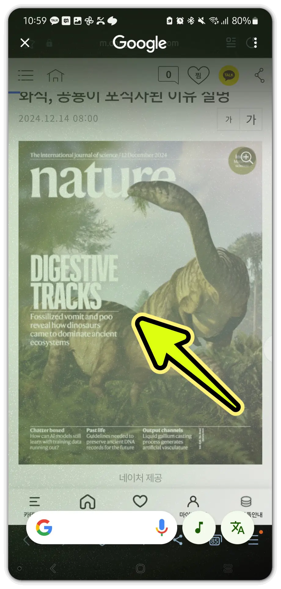 이미지-텍스트-추출-방법