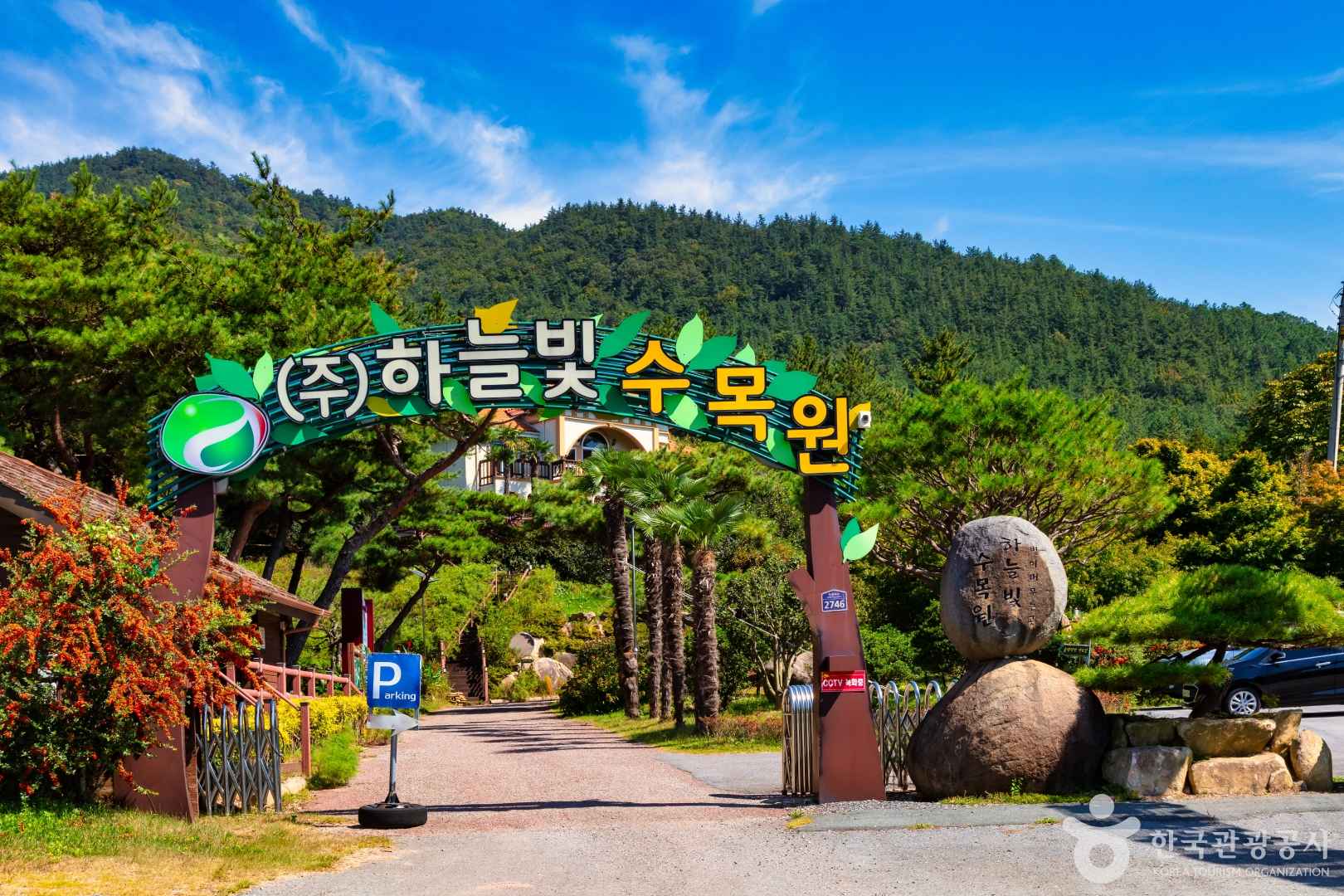 하늘빛수목원