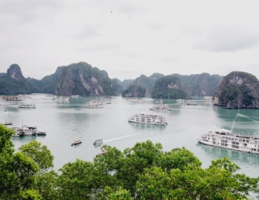 베트남여행 베트남어 번역기 인기 추천 BEST 3