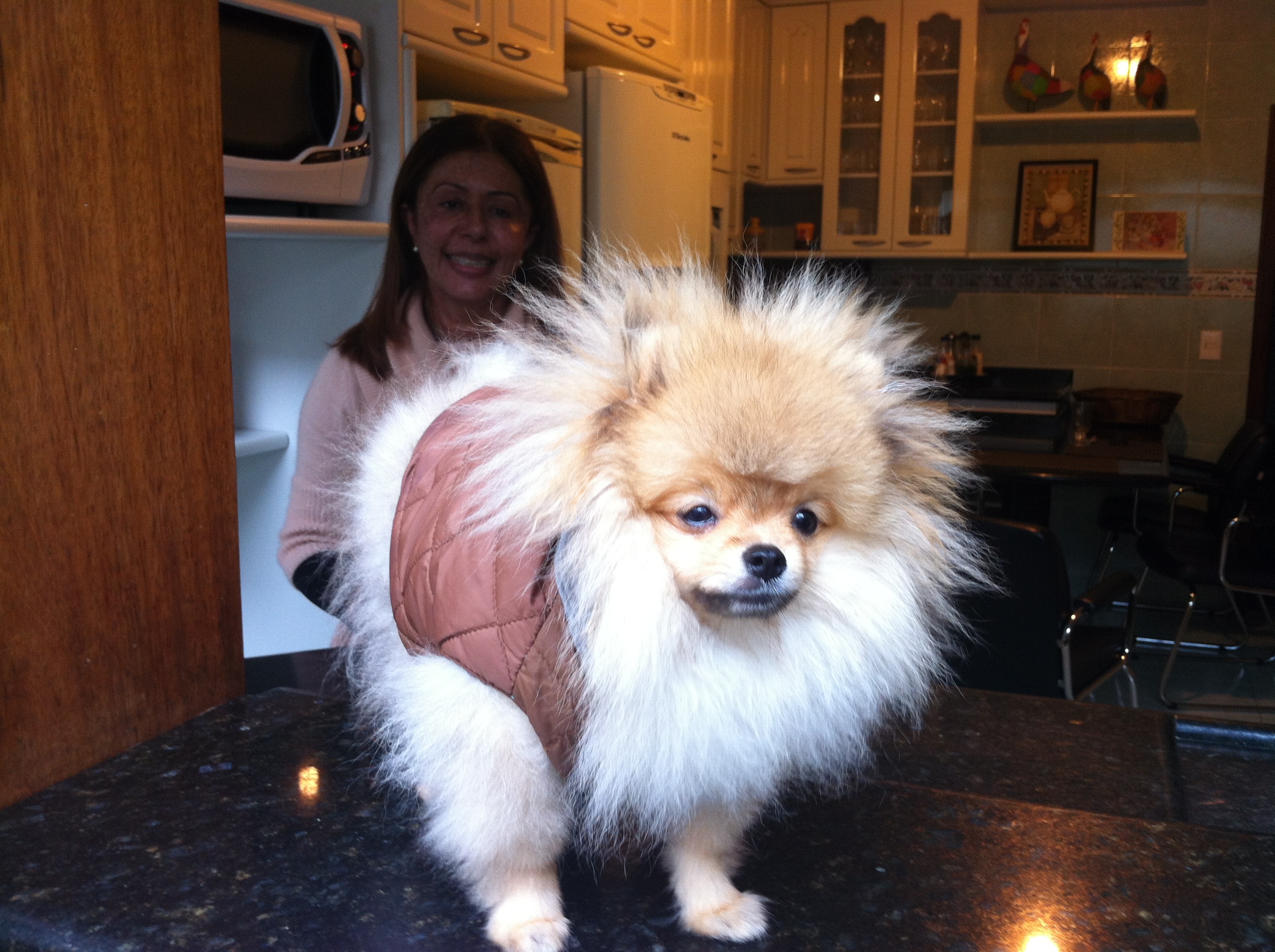 유전자 키트 검사 관련 사진