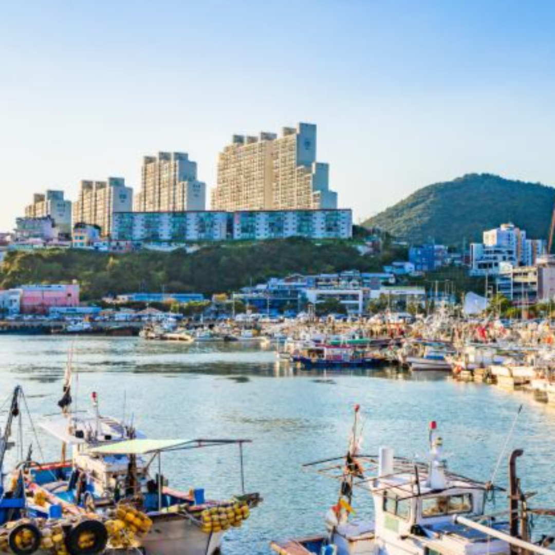 여수 데이트 관련 사진