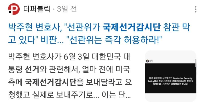 국제선거감시단 활동