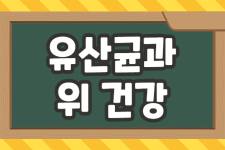 유산균과 위 건강