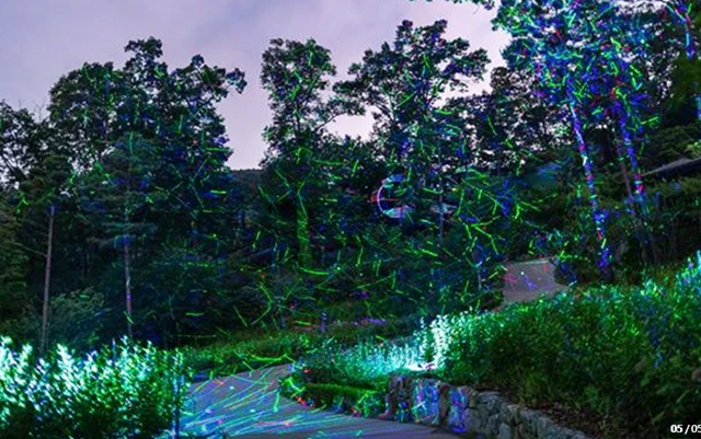 화담숲 예약, 2025년 반딧불이 축제 사전예매