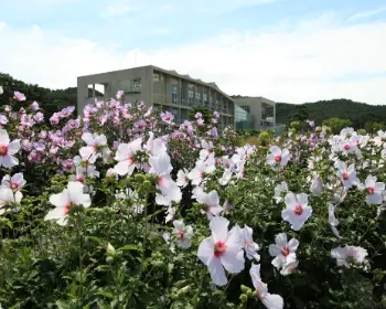 천리포수목원_6